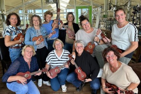 ukelele leren spelen workshop